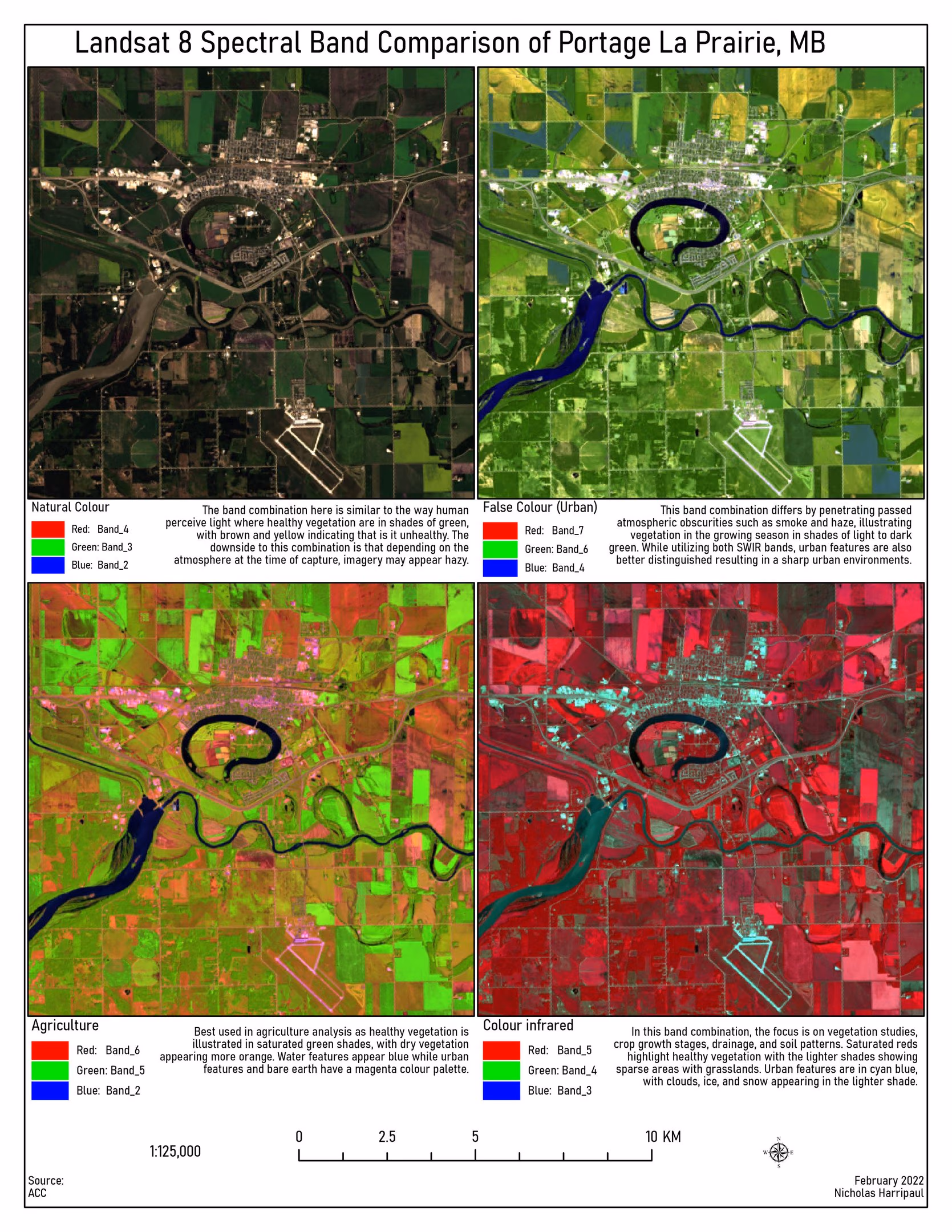 Side-by-side Landsat 8 renderings of Portage la Prairie in different band combinations, where vegetation, built features and bare earth each separate most cleanly under a different combination.