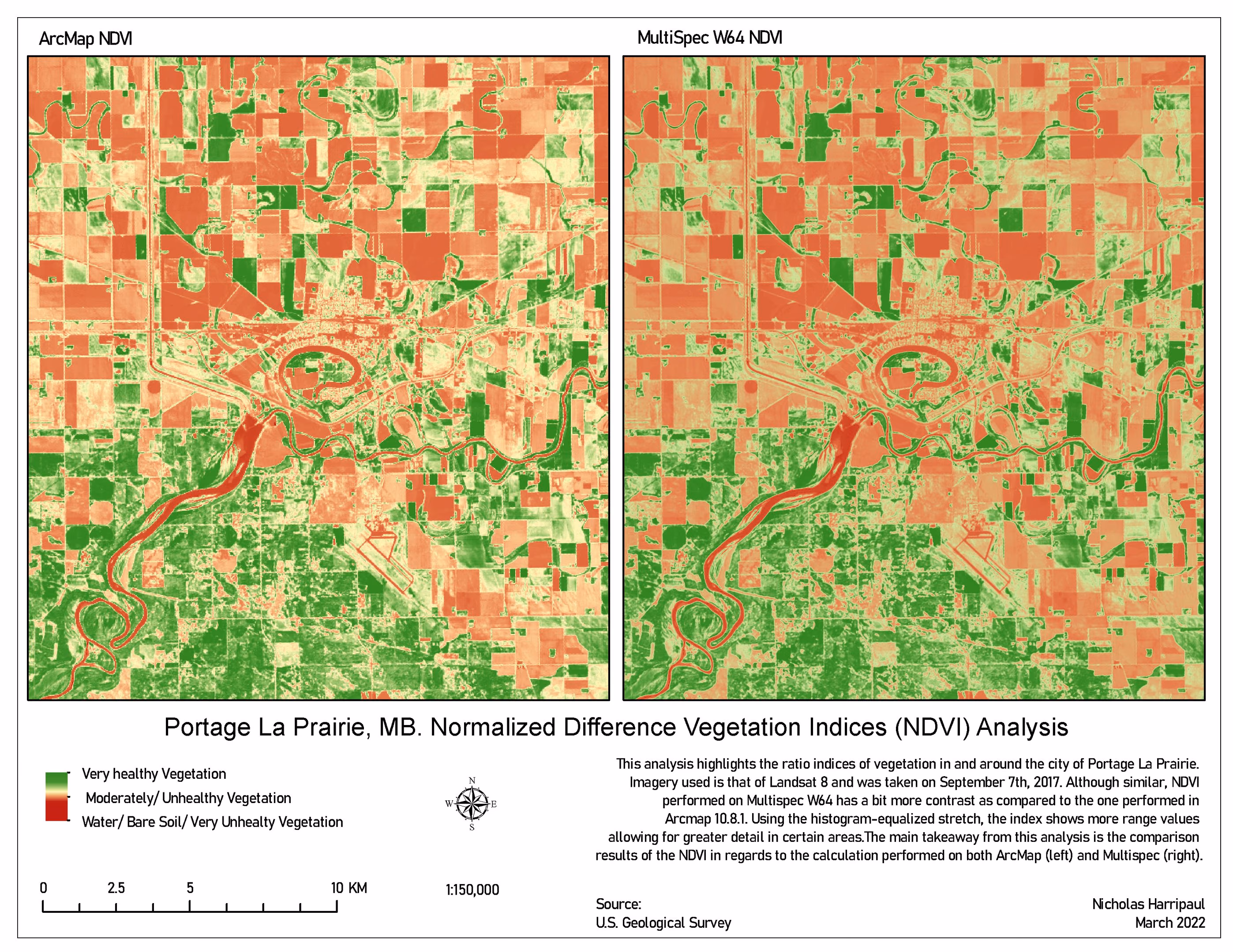 NDVI surface over Portage la Prairie distinguishing vigorous vegetation from bare and built ground.